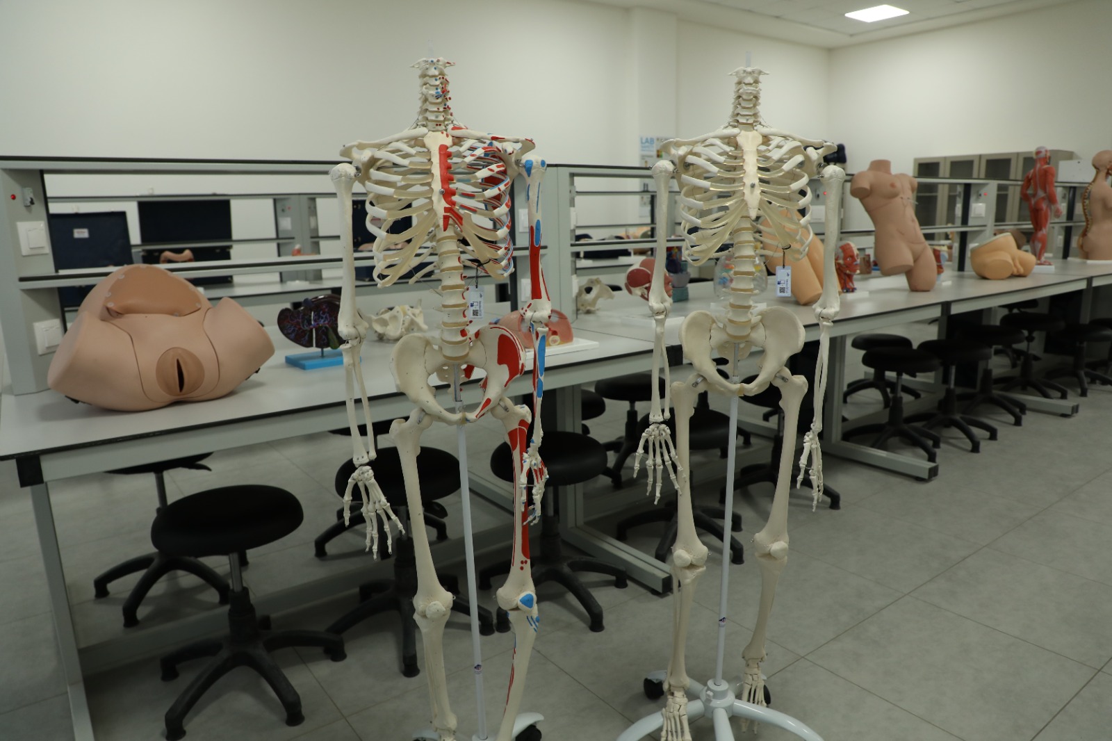 Anatomy Laboratory